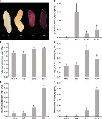 Regulatory network characterization of anthocyanin metabolites in purple sweetpotato via joint transcriptomics and metabolomics